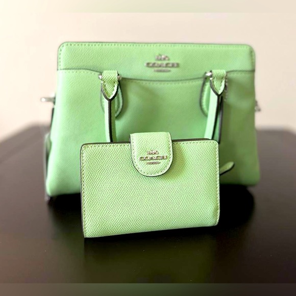 Coach Mini Darcie Carryall crossbody and small wallets /Silver/Pale Pistachio - Picture 1 of 12